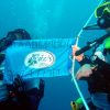 Дайвинг туры из Беларуси на Мальдивы с клубом «Морской Пегас»