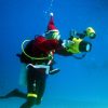 Дайвинг туры из Минска с дайвинг клубом «Морской Пегас»