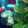 DED MOROZ-1DSC00004