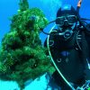 Дайвинг сафари из Минска с клубом «Морской Пегас» - Египет