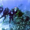 Дайвинг туры на Новый Год из Минска с дайвинг клубом «Морской Пегас»
