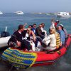 Дайвинг туры из Беларуси с клубом «Морской Пегас»