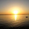 IMG_9645